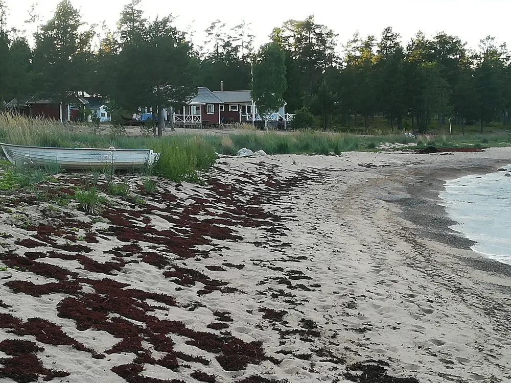 Fritidshus Storsand/Lakbäck 