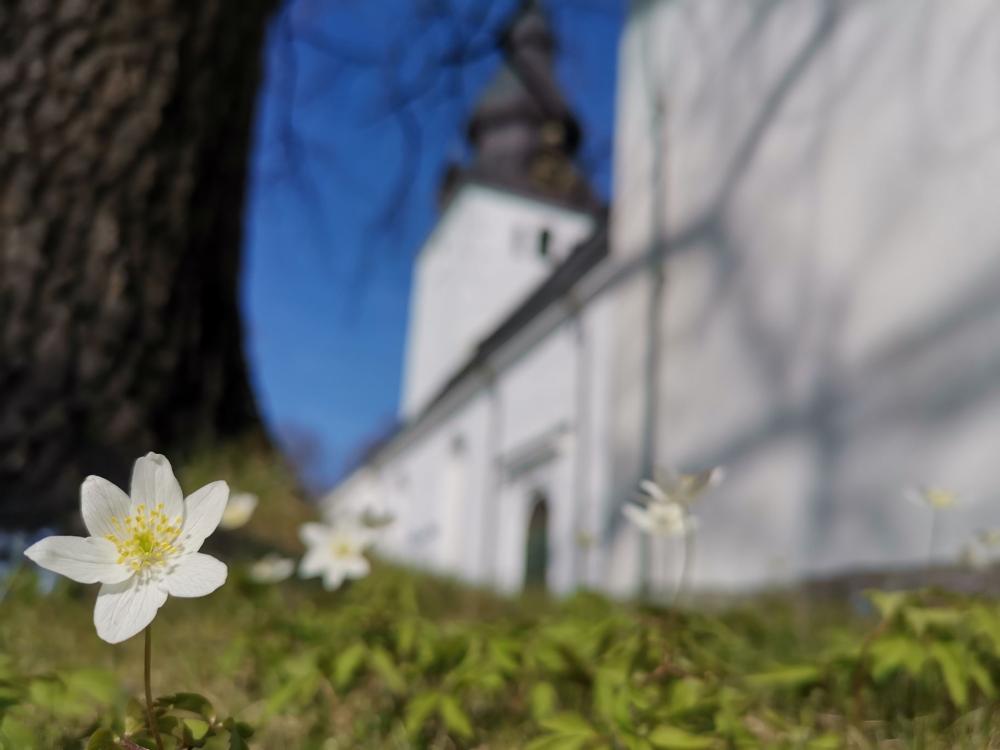 Besök Jakobs kyrka, Hudiksvall