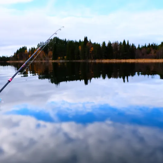 Fiskespön efter båt