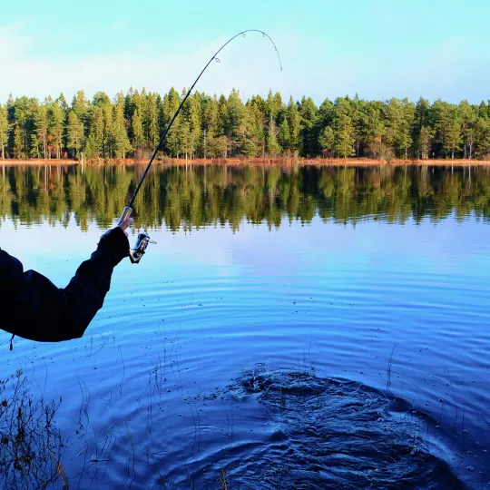 En som fiskar och fått napp