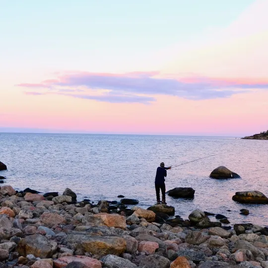 Fiske med kastspö i solnedgång