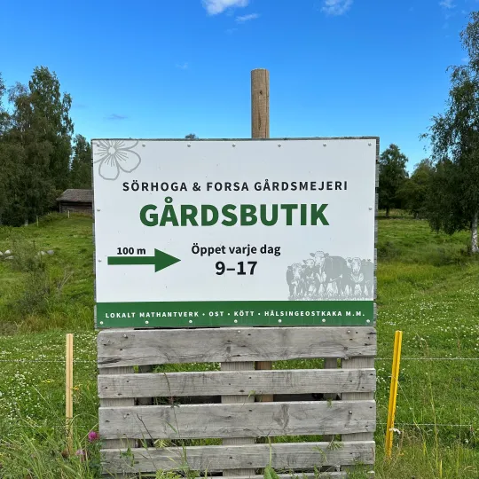 Forsa Gårdsmejeriskylt i sommarmiljö