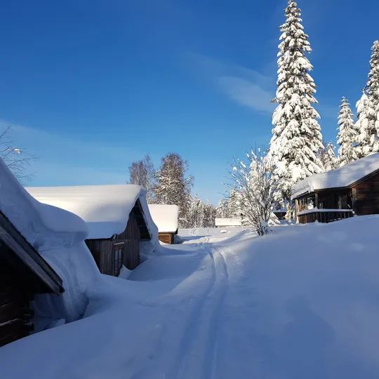 Skidspår på Sjuvallsleden vid Nyvallen