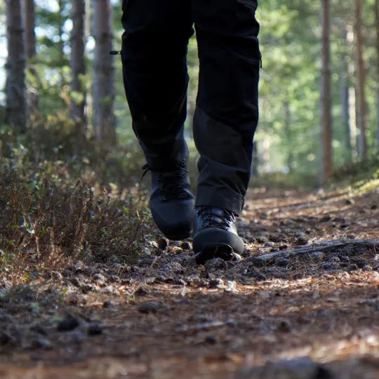 Vandrare i skog