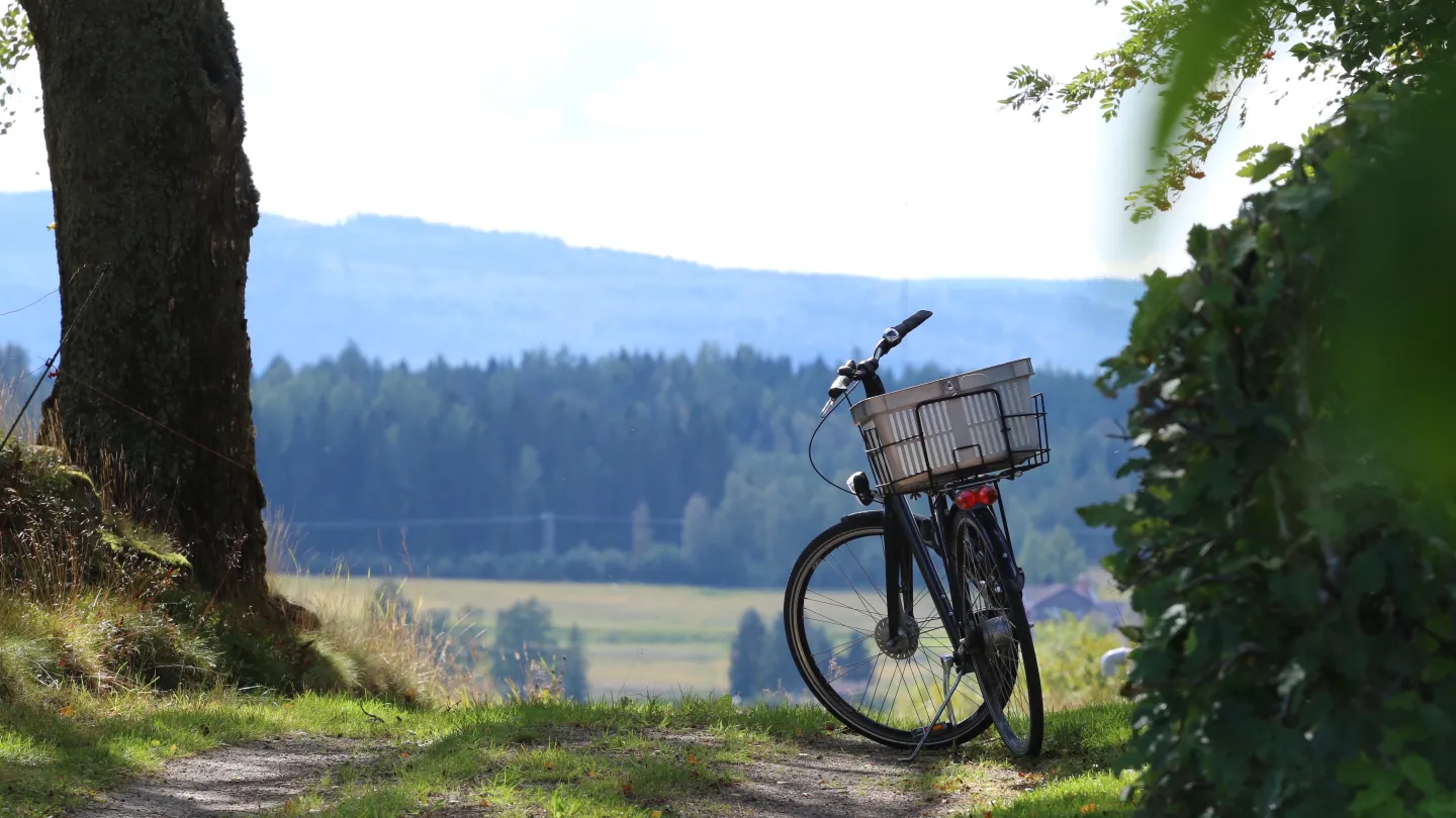 Cykel och korg med blånande berg