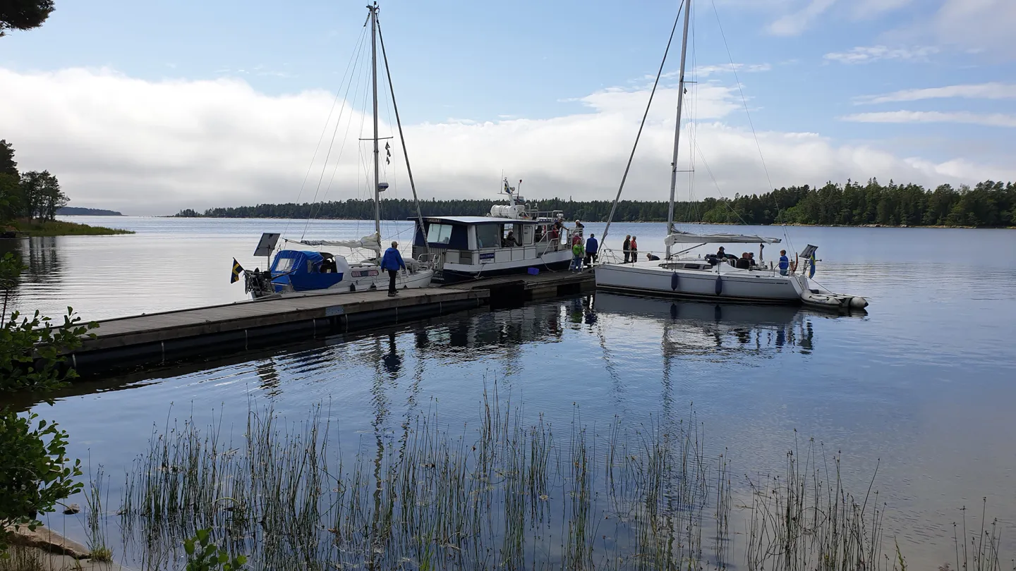 Brygga med båtar vid Agön