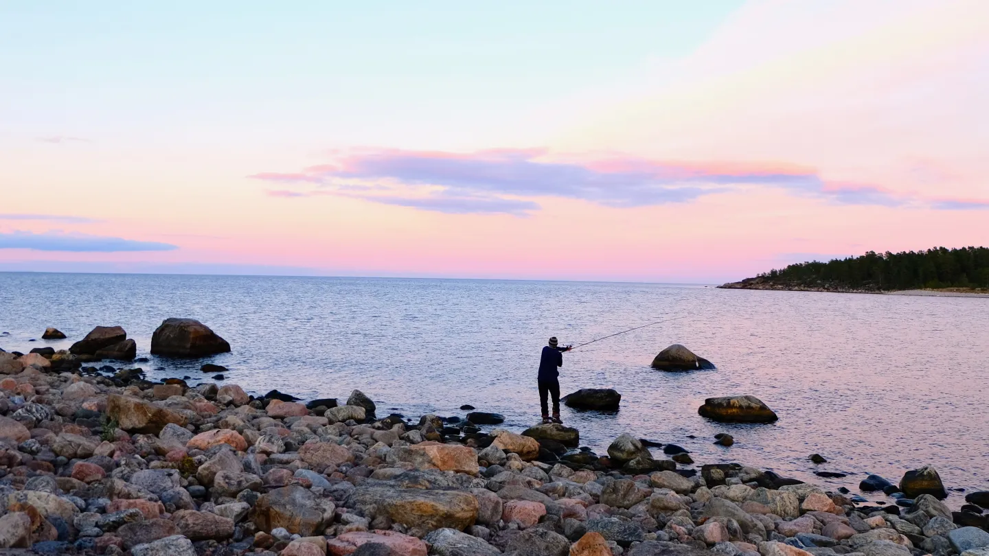 Fiske med kastspö i solnedgång