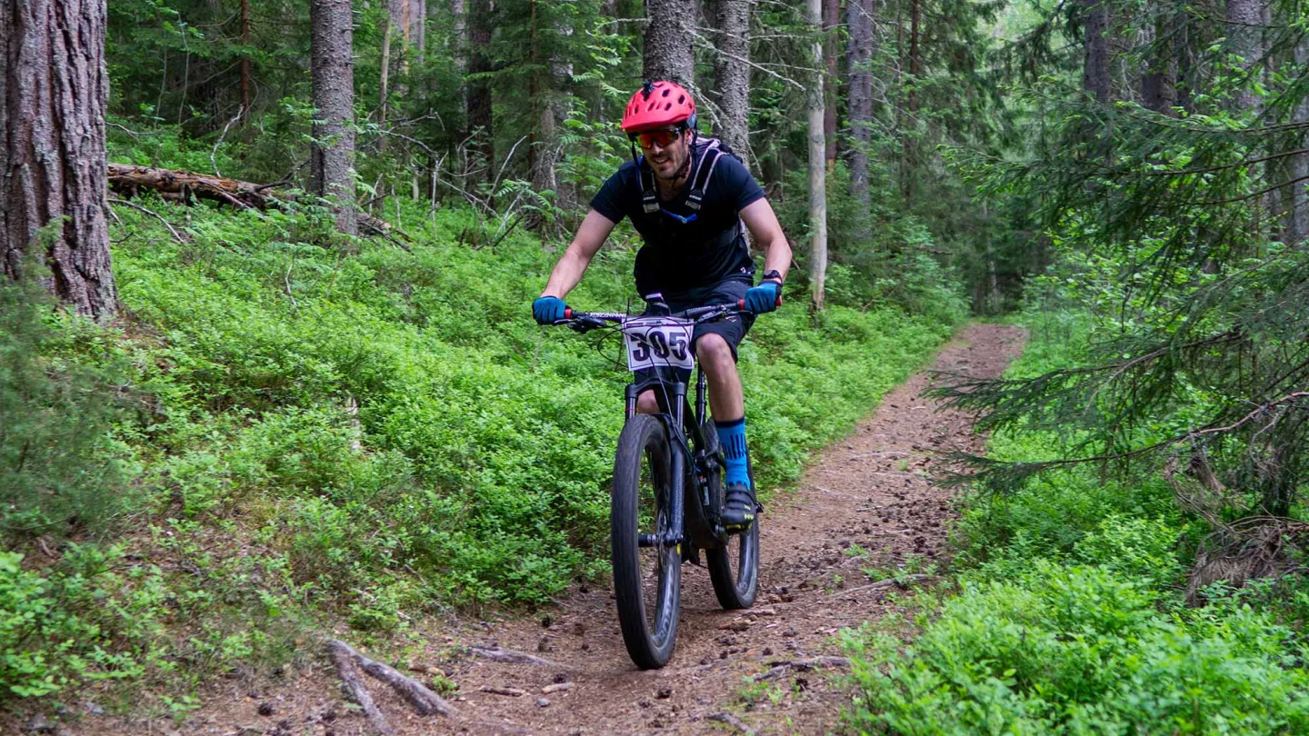 MTB-cyklist på en skogsstig