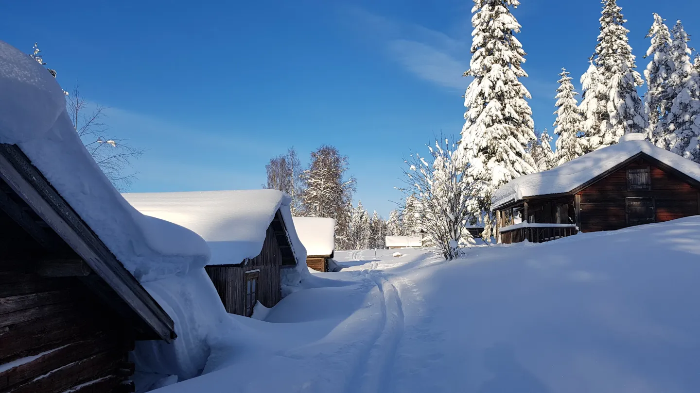 Nyvallen i vinterskrud.