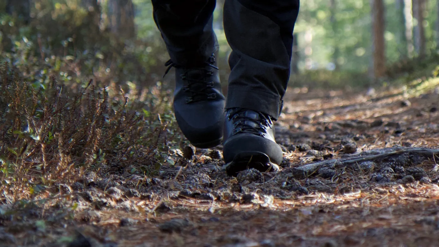 Vandrare i skog